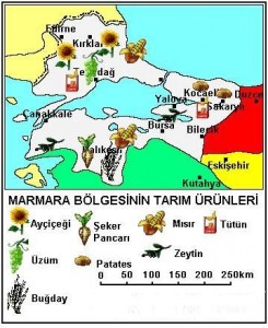 marmara bolgesi tarim urunleri